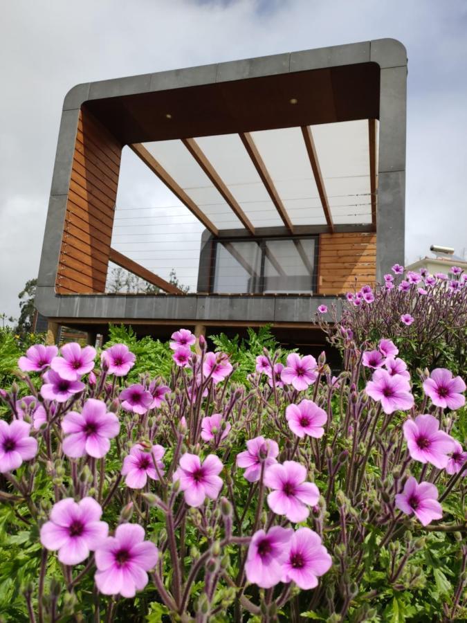 Calheta Glamping Pods - Nature Retreat Eksteriør billede
