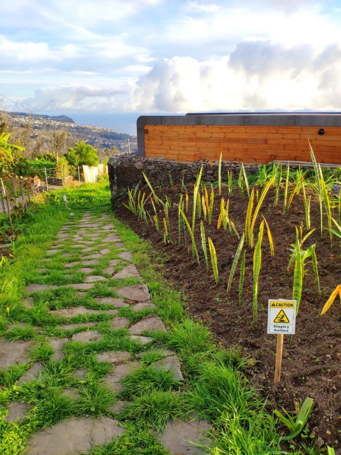 Calheta Glamping Pods - Nature Retreat Eksteriør billede
